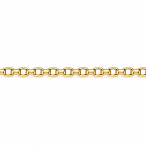 AuAdore Always Gold Chain in polished 14k yellow gold on a white background.