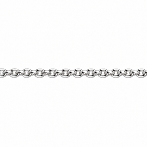 AuAdore Connection Gold Chain in polished 14k white gold on a white background.