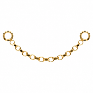 AuAdore Rolo Chain in polished 14k yellow gold on a white background.